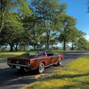 Meet your Posher, Todd